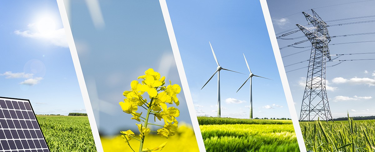 Carousel banner slide 1